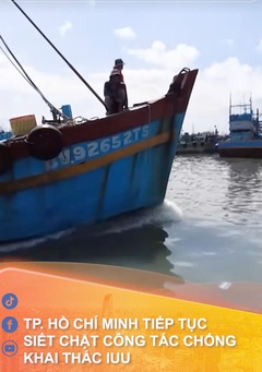 TP. Hồ Chí Minh tiếp tục siết chặt công tác chống khai thác thủy sản bất hợp pháp IUU