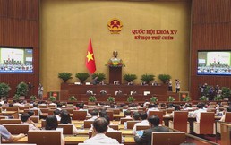 Quốc hội thảo luận về kinh tế - xã hội, đề xuất luật hóa chính sách đặc thù