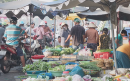 Giá rau, củ, quả ổn định tại chợ truyền thống