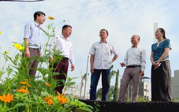 Phường Tam Bình: Niềm vui của người dân khi các con hẻm "thay áo" mới