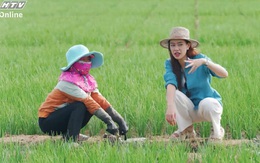 Việt Nam - Đi là ghiền 4 - Tập 16: Trải nghiệm trồng hành, ngò cùng bà con nông dân