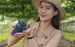 Việt Nam đi là ghiền - Mùa 4 - Tập 15: Lạc vào thiên đường trái cây