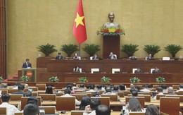 Quốc hội thảo luận kết quả giám sát về bảo vệ môi trường