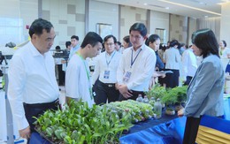 Nông nghiệp công nghệ cao: Giải pháp chiến lược trước thách thức biến đổi khí hậu