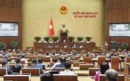 Luật Phòng, chống ma túy: Kéo dài cai nghiện, giám sát điện tử