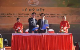 Nông nghiệp Việt Nam chuyển dịch mạnh mẽ sang mô hình tăng trưởng xanh và phát thải thấp