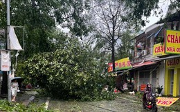 Thủ tướng chỉ đạo tập trung khắc phục hậu quả bão số 5 và ứng phó mưa lũ sau bão