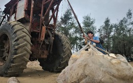 Bão số 10 (Bualoi): Hà Tĩnh cấm biển, sơ tán hơn 6.500 hộ dân