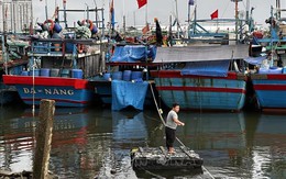 17 giờ ngày 27/9: Dừng toàn bộ hoạt động trên biển