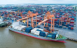 Tiến hành Tổng điều tra kinh tế năm 2026 trên toàn quốc