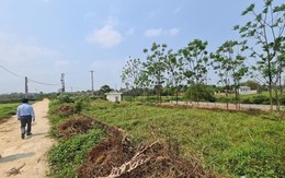 Ủy ban Thường vụ Quốc hội cho ý kiến về dự án Luật Đất đai (sửa đổi)