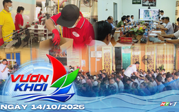 Đẩy nhanh tiến độ cao tốc TP. Hồ Chí Minh – Thủ Dầu Một – Chơn Thành | Vươn Khơi - ngày 14/10/2026