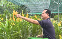 TP. Hồ Chí Minh đặt mục tiêu tăng trưởng sản xuất hoa, cây kiểng 2,5 - 3,5%/năm