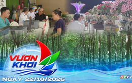 Chung tay thực hiện mục tiêu khám sức khỏe toàn dân | Vươn Khơi - Ngày 22/10/2026