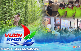 Ngành gỗ đẩy mạnh đa dạng hóa thị trường xuất khẩu | Vươn Khơi - Ngày 28/10/2026