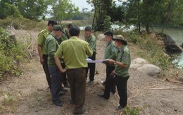 Xuyên Tết trực chiến bảo vệ rừng
