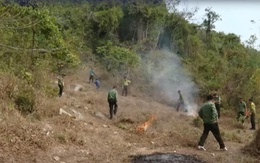 TP. Hồ Chí Minh: Chủ động phòng chống cháy rừng cao điểm mùa khô