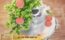 Quán ăn hạnh phúc 2026 - Tập 11: Ẩm thực chay