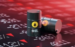 Thị trường ngày 12/4/2026: Vàng trong nước giảm nhẹ, xăng dầu trong nước tiếp tục điều chỉnh giảm