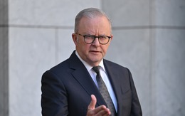 Phản ứng của các quốc gia về tuyên bố ngừng bắn