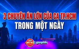 NewZgraphic: Tóm tắt 3 chuyên án lớn của Công an TP. Hồ Chí Minh