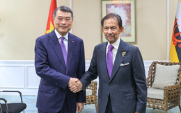 Thủ tướng Lê Minh Hưng hội kiến Quốc vương Brunei