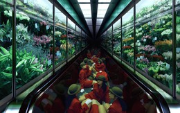 Nhật Bản: Sức sống bền bỉ của bộ ảnh "Cô gái thang máy" (Elevator Girls)