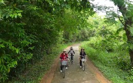 Cùng HTV Hành động xanh: Vận động để chữa lành