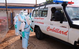 CHDC Congo: Số ca tử vong do Ebola vượt mốc 1.000
