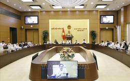 UBTV Quốc hội cho ý kiến với dự thảo nghị quyết về 2 dự án giao thông trọng điểm