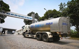 Sữa tươi thanh trùng - phép thử khắt khe cho cam kết “Thật sự thiên nhiên” của TH true MILK