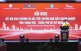 Thanh Hóa và TP. Hồ Chí Minh mở rộng kết nối, tìm kiếm cơ hội hợp tác đầu tư, thương mại