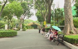 Bảo tồn những cây cổ thụ di sản giữa lòng TP. Hồ Chí Minh