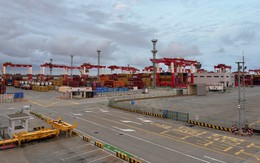 Khu bảo thuế tổng hợp đặc biệt Dương Sơn: Mô hình tham khảo sống động cho TP. Hồ Chí Minh