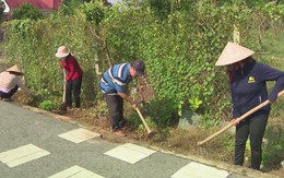 Khi giữ đường sạch, xóm xanh thành thói quen mỗi nhà