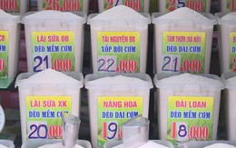 Gạo giữ giá cao, nguồn cung dồi dào tại TP.HCM