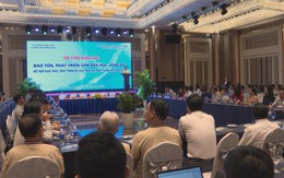 Bảo tồn, phát triển gốm Biên Hòa - Đồng Nai