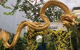 Đà Nẵng: Du khách thích thú check-in cùng "rồng khổng lồ" vừa xuất hiện