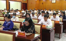 HĐND TP.HCM thảo luận tổ nhiều vấn đề kinh tế - xã hội trong 6 tháng cuối năm