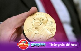 NewZgraphic: Ý nghĩa của giải Nobel