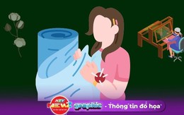 NewZgraphic: Di sản văn hóa phi vật thể quốc gia: Nghề thủ công truyền thống tại Tây Nguyên