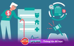 NewZgraphic: Bốn chế độ được nhận với người nghỉ hưu trước tuổi do tinh gọn bộ máy