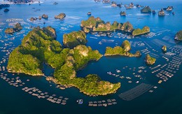 Phát động cuộc thi ảnh nghệ thuật "Tổ quốc bên bờ sóng 2025": Lan tỏa vẻ đẹp biển đảo Việt Nam