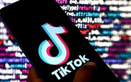 Bộ Công Thương, Tổng cục Thuế sẽ cùng tham gia thanh tra TikTok