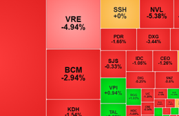 Phiên ngày 10/11, thị trường chứng khoán tiếp tục điều chỉnh