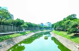 Bảo vệ môi trường - xu hướng không thể đảo ngược