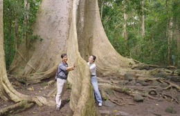 Việt Nam đi là ghiền - Mùa 4 - Tập 30: Vườn quốc gia Cát Tiên