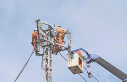 Công ty Điện lực Gia Lai nỗ lực khôi phục lưới điện sau bão số 13