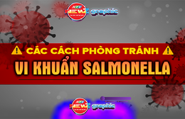 NewZgraphic: Ngộ độc do vi khuẩn Salmonella - Cảnh báo từ bữa ăn quen thuộc