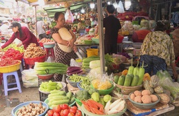 Giá rau xanh tại TP. Hồ Chí Minh tăng vọt do ảnh hưởng của thời tiết